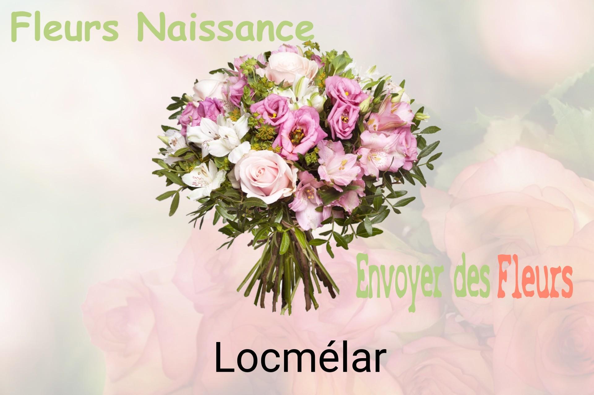 Bouquet de fleurs de naissance livré à Locmélar