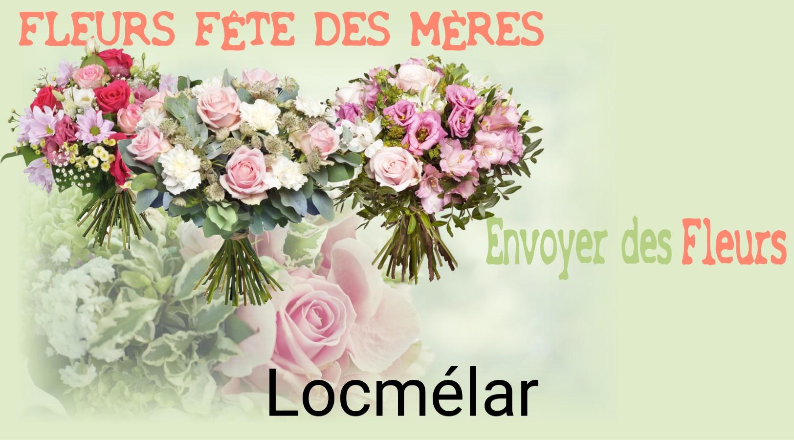 Bouquet de Fête des Mères livré à Locmélar